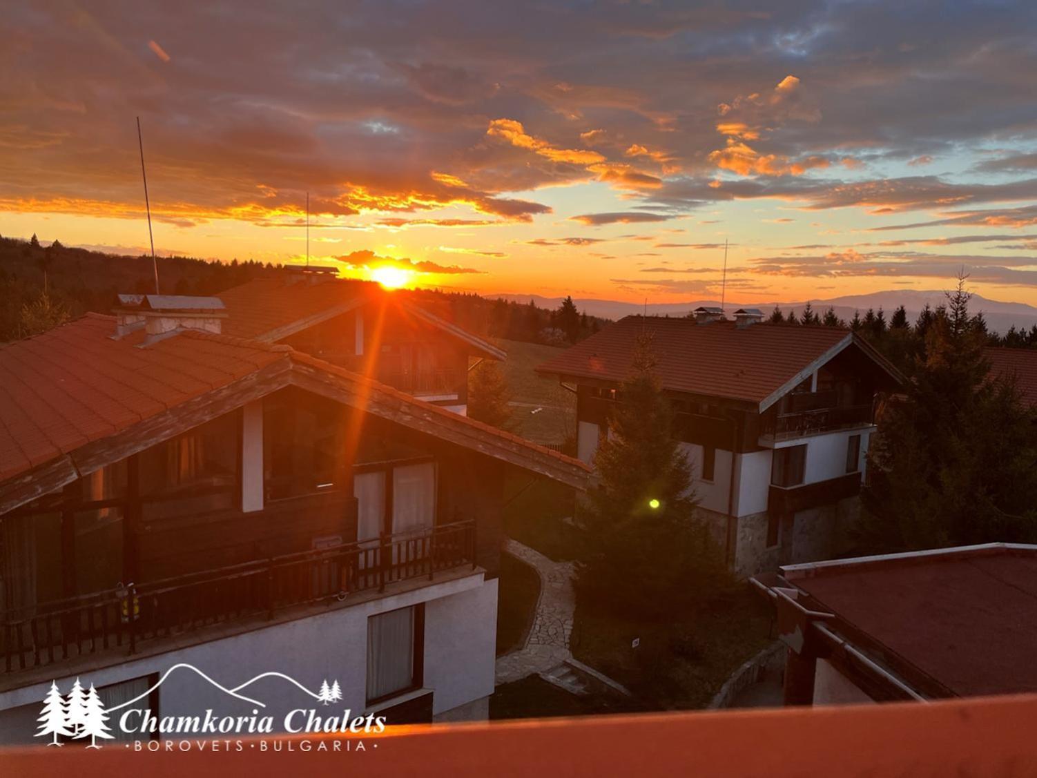 Apartment Chamkoria 409 Borovets